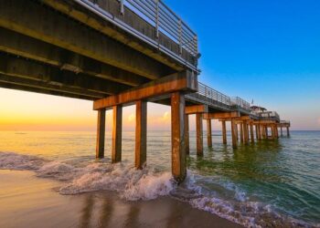 14.7% of Alabama Residents Receive SNAP Benefits, Above U.S. Average – Tallassee Tribune