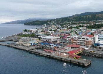 Dominica best country to recover from COVID-19 in Americas region, says survey – WIC News