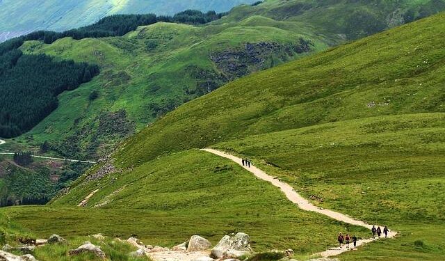 St. Kitts and Nevis donates artwork to OAS Art Museum of the Americas – Caribbean Life