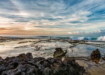 U.S. Coral Reefs – U.S. EPA.gov