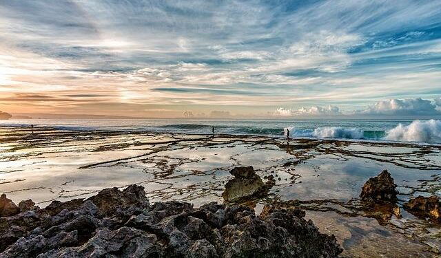 U.S. Coral Reefs – U.S. EPA.gov