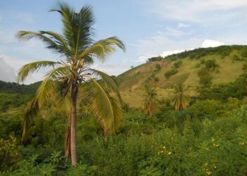 US has frozen some funding for the UN-backed mission to quell gangs in Haiti, UN says – The Associated Press