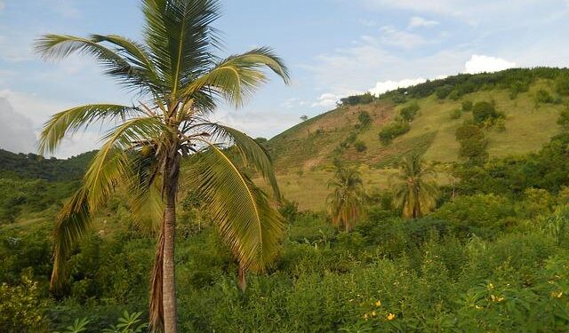 US has frozen some funding for the UN-backed mission to quell gangs in Haiti, UN says – The Associated Press