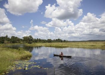 Guyana: A 2025 Snapshot – AS/COA Online