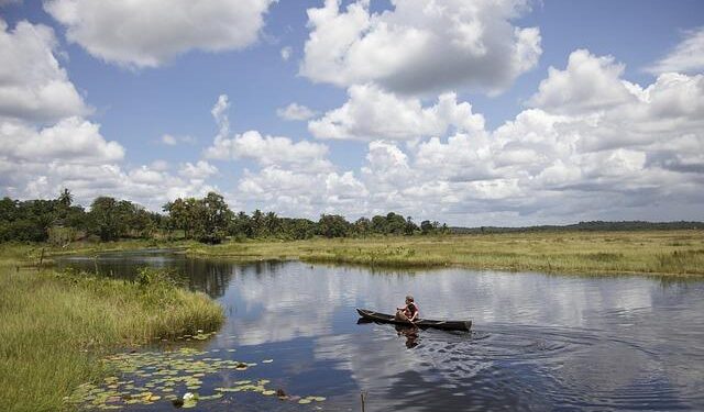 Guyana: A 2025 Snapshot – AS/COA Online