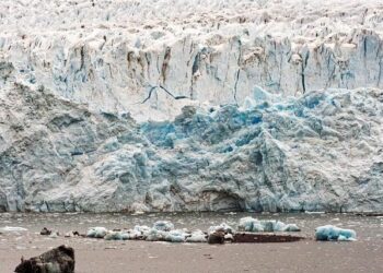 ‘Children won’t be able to survive’: inter-American court to hear from climate victims – The Guardian