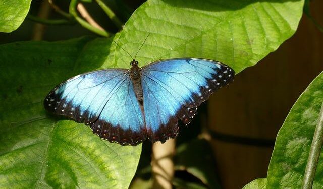 At 26, I set off on a yearlong adventure to South America. It’s been 6 years, and I have no plans to leave. – Business Insider