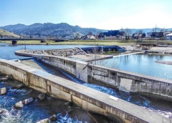 Wastewater sequencing as a powerful tool to reveal SARS-CoV-2 variant introduction and spread in French Guiana, South America – ScienceDirect.com