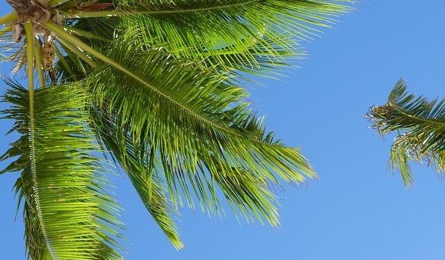 Caribbean leaders push back on U.S. travel-ban threats, ask Washington for clarity – Miami Herald