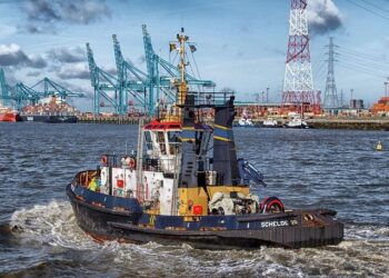 Xi inaugurates South America’s first Chinese-funded port – DW (English)