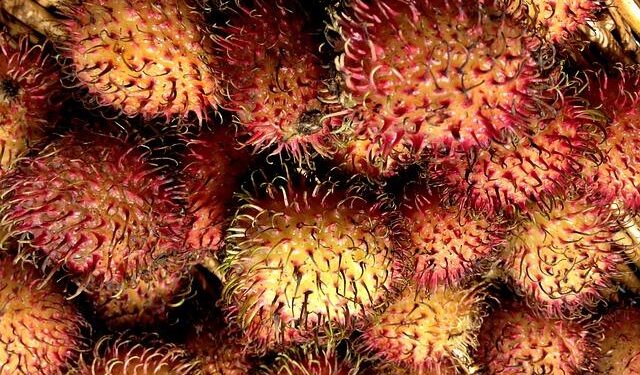 Go Inside the Archives of the Historic Martinique New York – Untapped New York