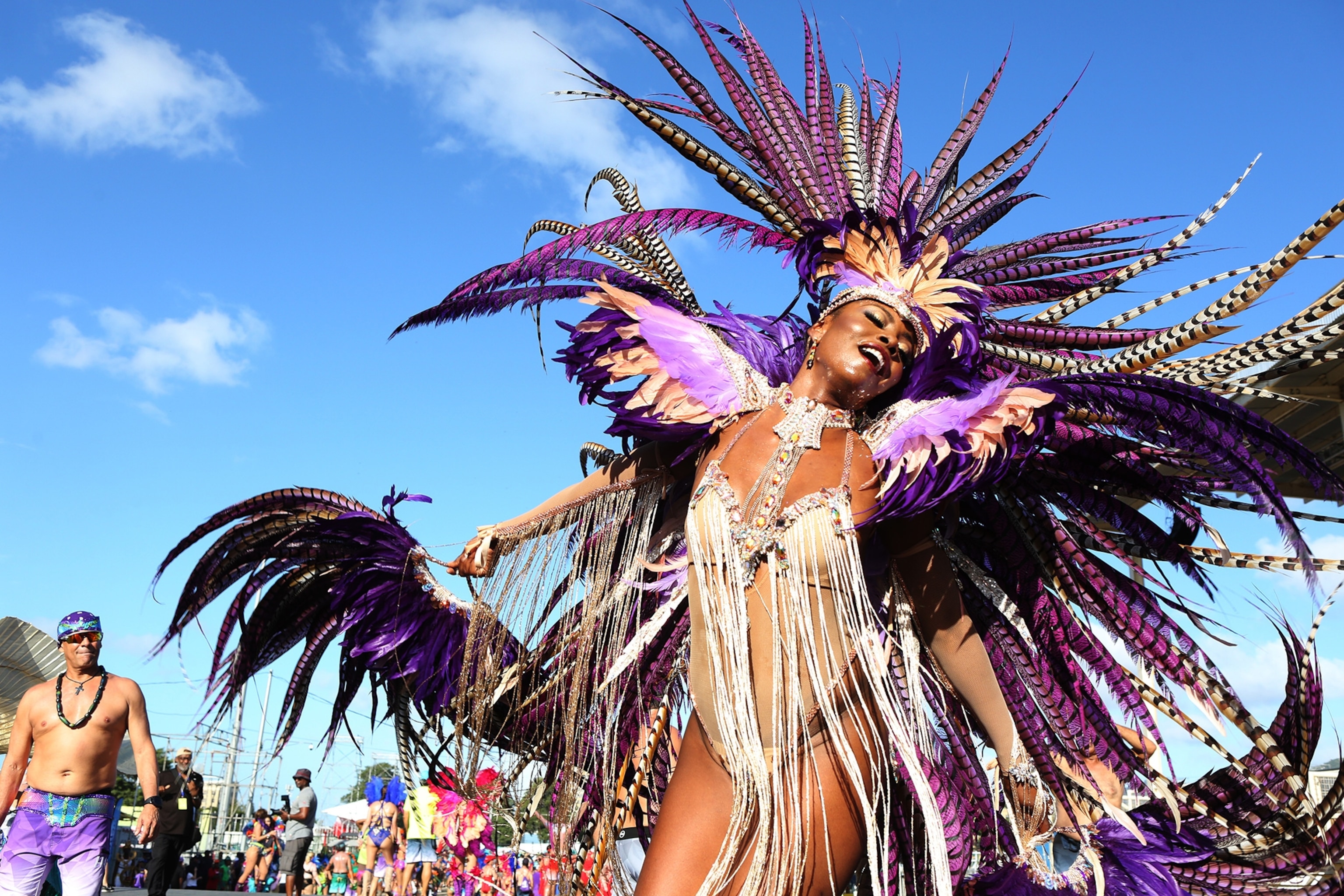 A woman with dark skin has silver tassels glistening against purple feathers while she moves her body.