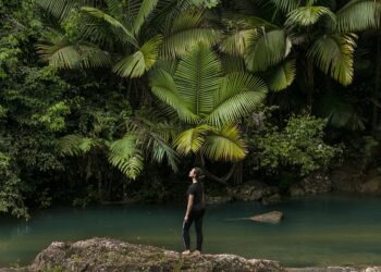 A New England Traveler's Guide to San Juan, Puerto Rico