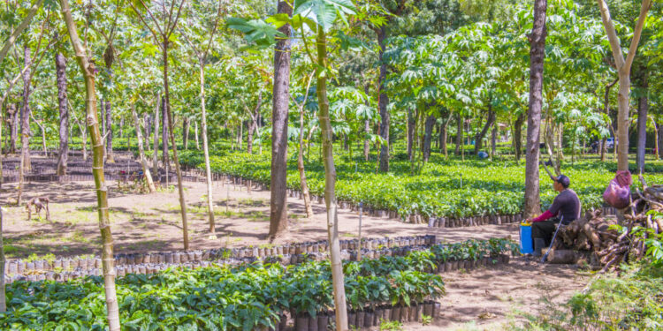 USDA to Lead March Trade Mission to Guatemala