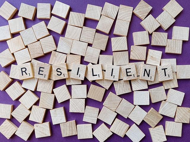 Public sentiment: The Call for Democratic Resilience