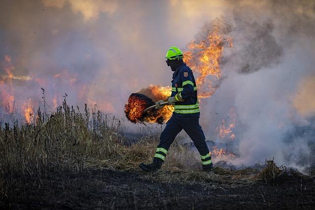 CAMS Global wildfires review 2024: a harsh year for the Americas - Copernicus Atmosphere Monitoring Service