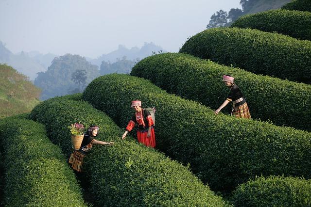 Reassessing Identity: How My Cuban Experience Shapes My American Reality