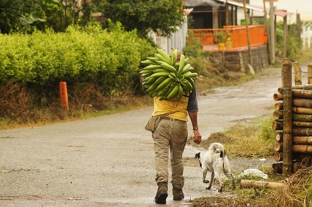 What Colombia must Do‍ to Secure a Win Against Argentina