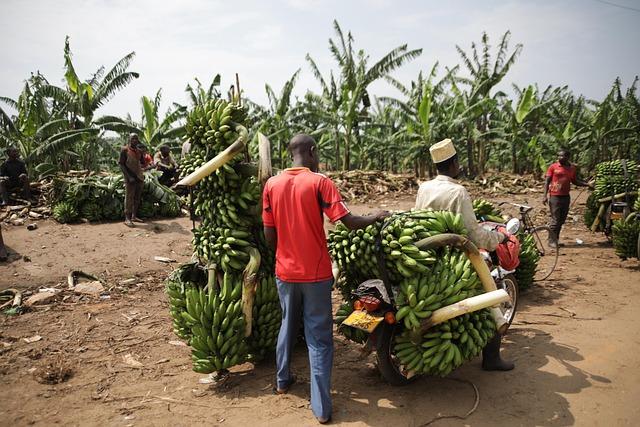 Future of Cross-Border Trade: navigating ‍Political and economic Challenges