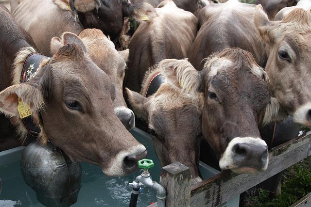 Impact of ⁤the⁤ USWNT's Return‌ on Local Soccer Development
