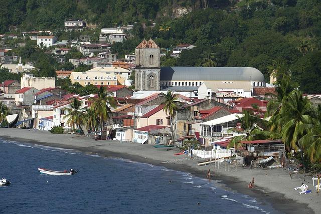 the Significance of the Martinique Flag in Sports Identity