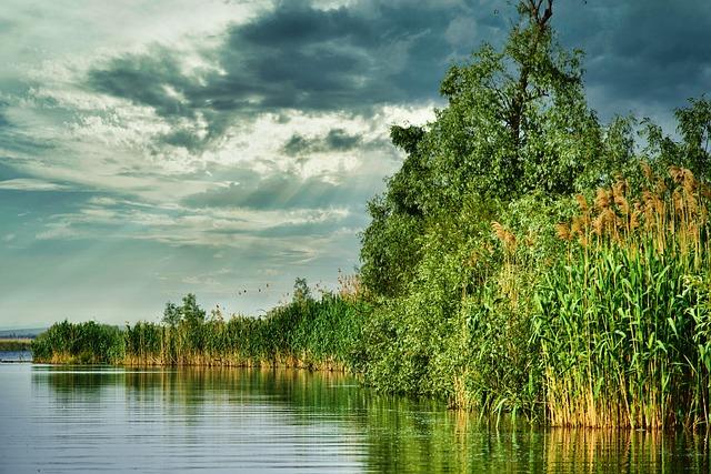 Unique Ecosystems and Biodiversity in Lesser-Known Parks