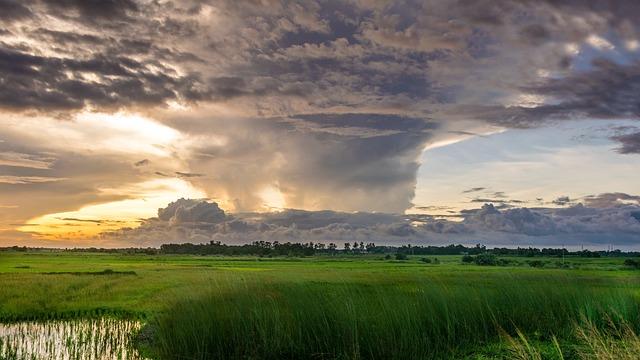 Assessment of Current Meteorological Conditions Impacting the 2024 Hurricane Season