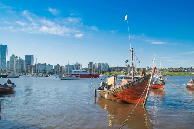 Future Directions and Recommendations for Sustained Trachoma Control