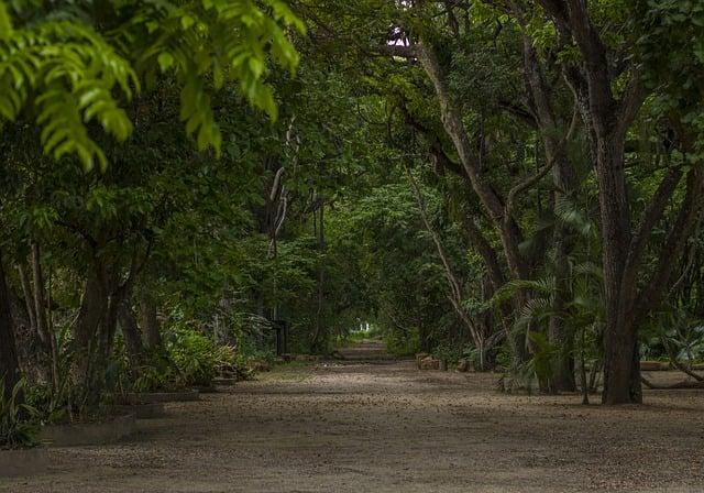 Venezuela's Concerns Over Guyana's Alignment with U.S. Military Forces