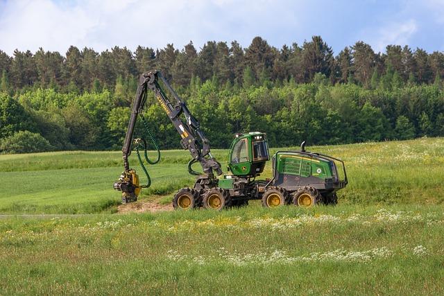 Future Trends and Challenges in Forestry Employment