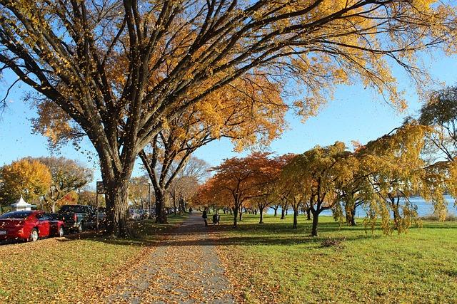 Historical Context of D.C. Statehood and its Legislative Journey