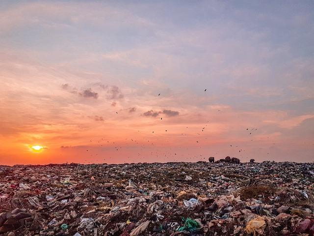 Sources of Pollution in Urban Honduras and Their Contributors