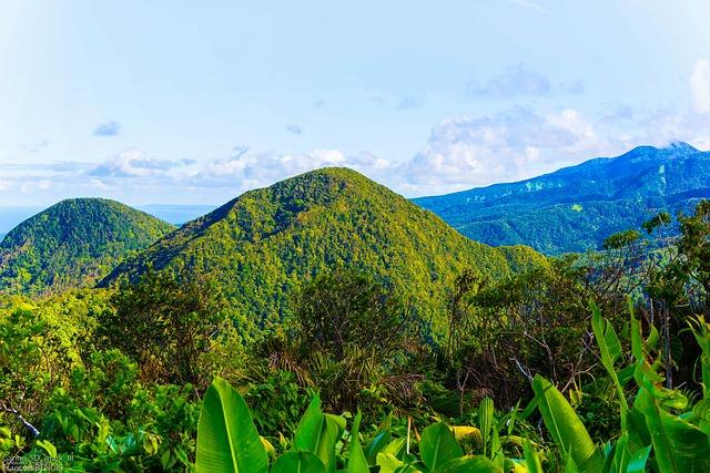 Exploring​ the ⁣Unique Attractions ‍at ‌Guadeloupe ⁤Cruise⁤ Port