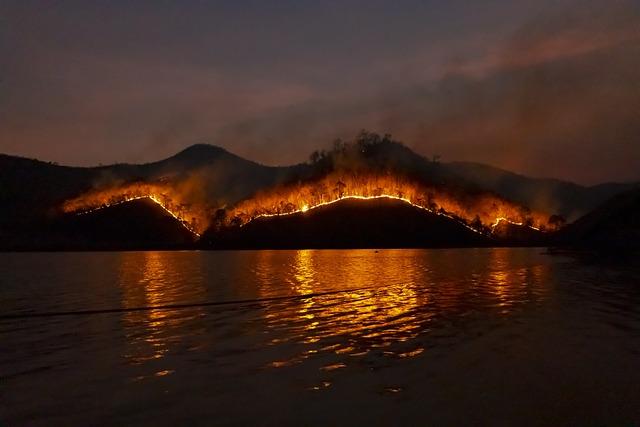 Analysis of the loss of ‌life and Livestock Due to Recent​ Fires