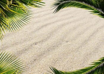 Caribbean and Central America Regional Office – Centers for Disease Control and Prevention (.gov)