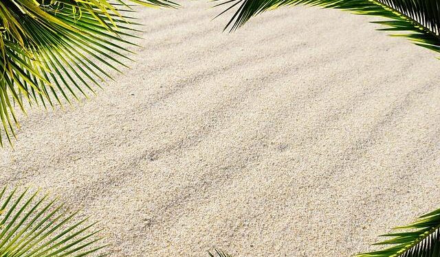 Caribbean and Central America Regional Office – Centers for Disease Control and Prevention (.gov)