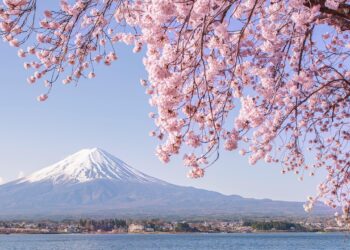 Japan Considers Backing Alaska LNG as Part of US Trade Deal – Bloomberg.com