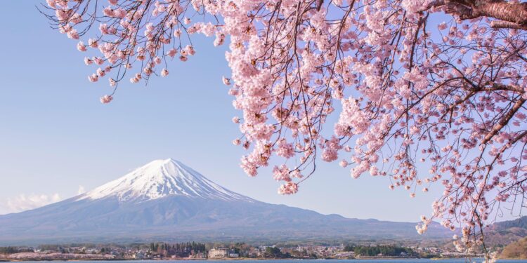 Japan Considers Backing Alaska LNG as Part of US Trade Deal – Bloomberg.com