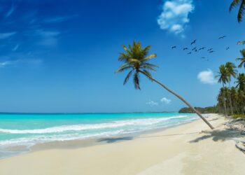 Bahamas setback: What’s Trump’s plan to expel migrants to third countries? – Al Jazeera