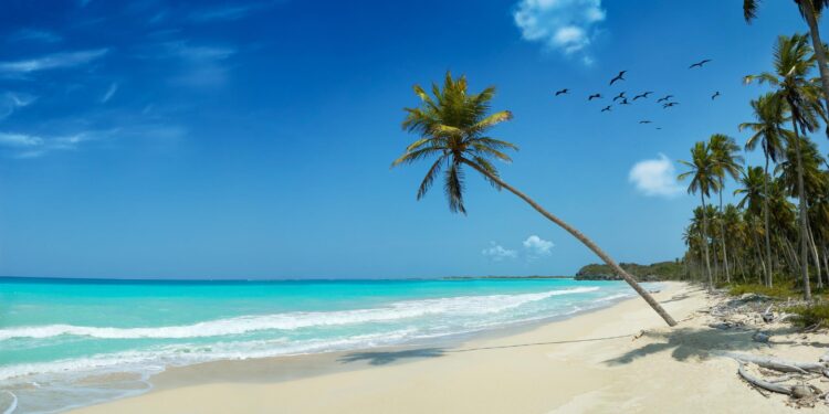 Bahamas setback: What’s Trump’s plan to expel migrants to third countries? – Al Jazeera