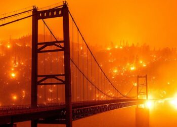 Conservatives blame California wildfires on Delta smelt fish, DEI and more – NBC News