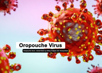 Oropouche virus disease – Pan American Health Organization (PAHO)