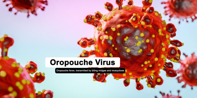 Oropouche virus disease – Pan American Health Organization (PAHO)