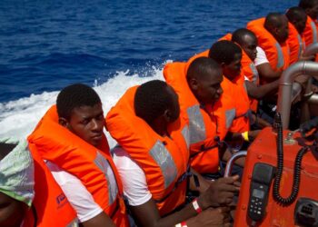 Government of Saint Lucia and IOM Partner to Develop Comprehensive Migration Policy – International Organization for Migration