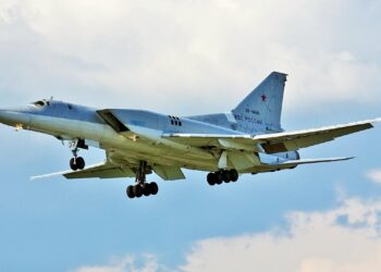 Russian Bomber Intercepted by F-35 Jet off US Coast—Video – Newsweek