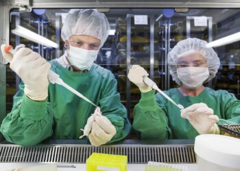 Vaccination Week in the Americas 2024 launches in St. Lucia – Pan American Health Organization (PAHO)