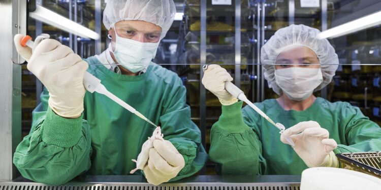 Vaccination Week in the Americas 2024 launches in St. Lucia – Pan American Health Organization (PAHO)