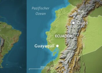 Ecuador, coach Félix Sánchez Bas part ways after Copa América quarterfinal loss – FOX Sports