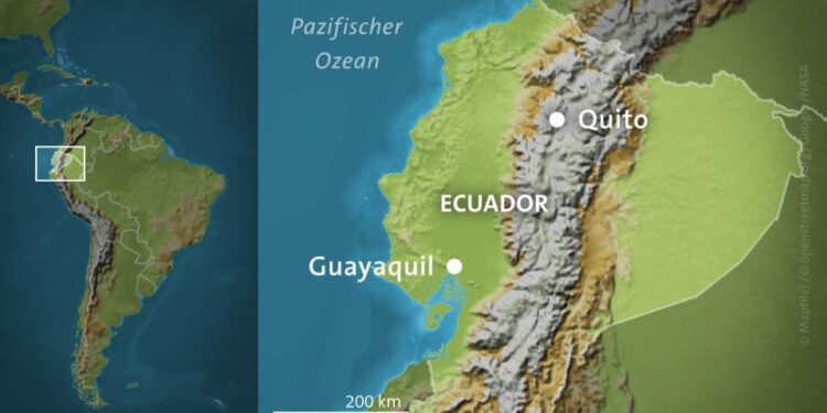 Ecuador, coach Félix Sánchez Bas part ways after Copa América quarterfinal loss – FOX Sports