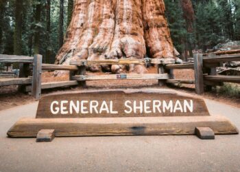 Sequoia & Kings Canyon – National Park Service (.gov)